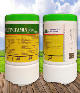 Multivitamin plus