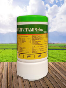 Multivitamin plus